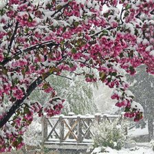 Cross stitch pattern: #2358089