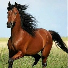 Cross stitch pattern: #2358649