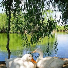 Cross stitch pattern: #2358670