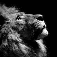 Cross stitch pattern: #2359424