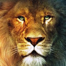 Cross stitch pattern: #2359427