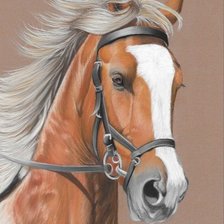 Cross stitch pattern: #2359441