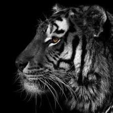 Cross stitch pattern: #2360984