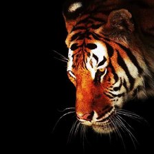 Cross stitch pattern: #2360985