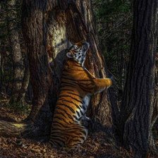 Cross stitch pattern: #2360996