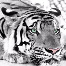 Cross stitch pattern: #2361506