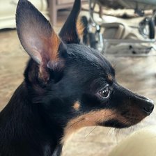 Cross stitch pattern: #2362921