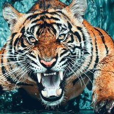 Cross stitch pattern: #2366172