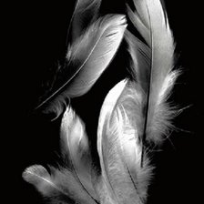 Cross stitch pattern: #2366176