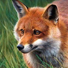 Cross stitch pattern: #2366491