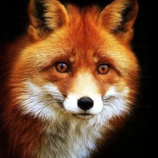 Cross stitch pattern: #2366507