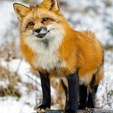 Cross stitch pattern: #2366637