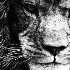 Cross stitch pattern: #2368790