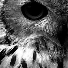 Cross stitch pattern: #2368793