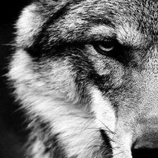 Cross stitch pattern: #2368798