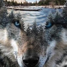 Cross stitch pattern: #2368802