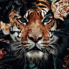 Cross stitch pattern: #2369070