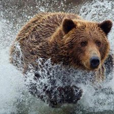 Cross stitch pattern: #2369913