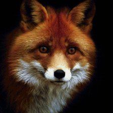 Cross stitch pattern: #2373886
