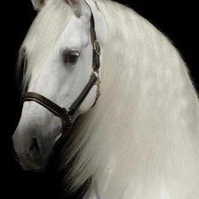 Cross stitch pattern: #2375749