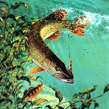 Cross stitch pattern: #2375979