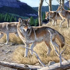 Cross stitch pattern: #2378368