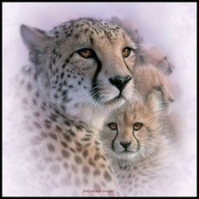 Cross stitch pattern: #2381028