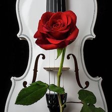 Cross stitch pattern: #2383844