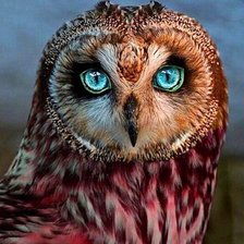 Cross stitch pattern: #2390025