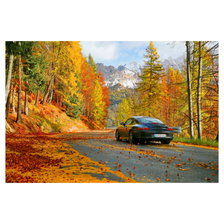 Cross stitch pattern: #2391622