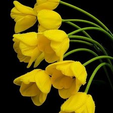 Cross stitch pattern: #2395351