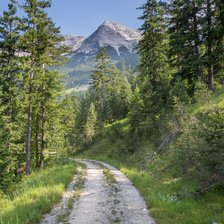 Cross stitch pattern: #2396127