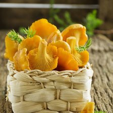 Cross stitch pattern: #2396130