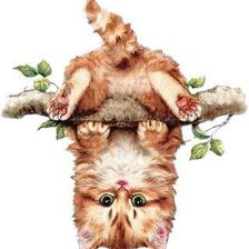 Cross stitch pattern: #2397056