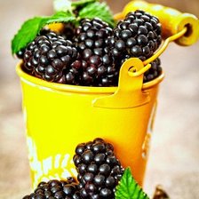 Cross stitch pattern: #2397208