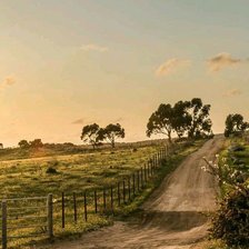 Cross stitch pattern: #2397224