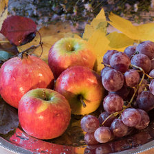 Cross stitch pattern: #2397942