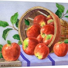 Cross stitch pattern: #2397950