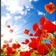 Cross stitch pattern: #2402600