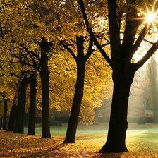 Cross stitch pattern: #2404372