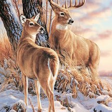 Cross stitch pattern: #2409402