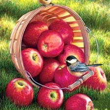 Cross stitch pattern: #2409504