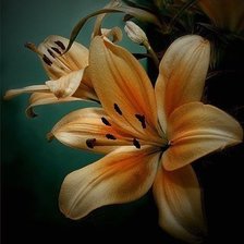 Cross stitch pattern: #2409951