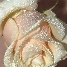 Cross stitch pattern: #2416943