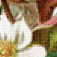 Preview of cross stitch pattern: #2419399