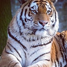 Cross stitch pattern: #2421775