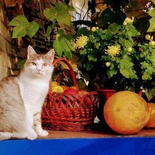 Cross stitch pattern: #2422798