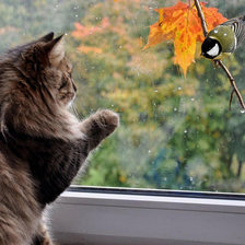 Cross stitch pattern: #2422799