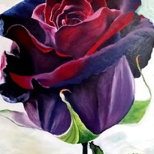 Cross stitch pattern: #2422903