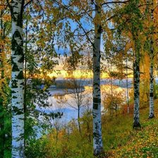 Cross stitch pattern: #2425050